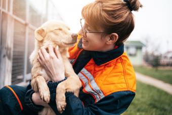 Woman playing with adorable dog in animal shelter
