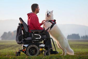 man in wheelchair with service dog