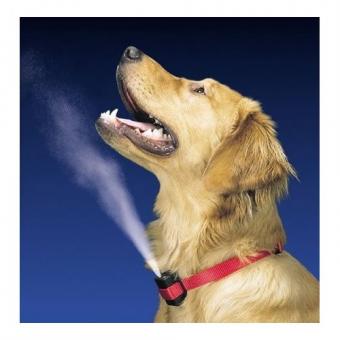 https://cf.ltkcdn.net/dogs/images/slide/90322-500x500-Citronella-collar.jpg