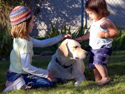 Kids playing with a dog