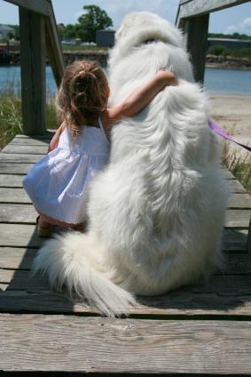 Little girl with her Great Pyrenees