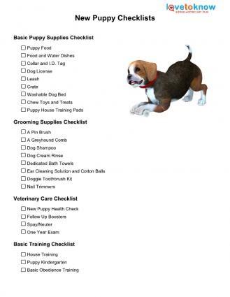 new puppy checklist vet