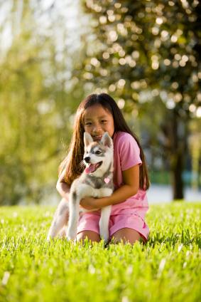 Girl hugging puppy on lawn