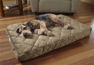 temperpedic dog bed temperpedic dog bed