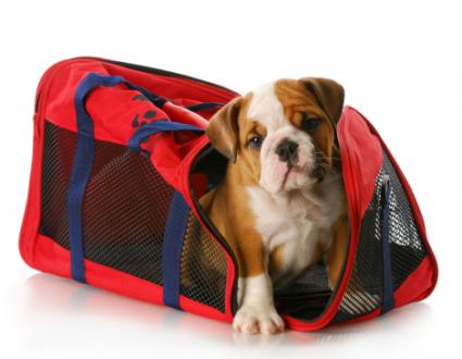 Soft-sided travel crate