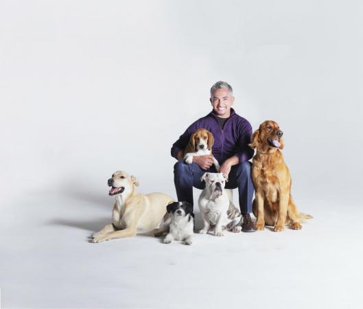 Dog Whisperer Cesar Millan; Photo Credit: Gio Alma