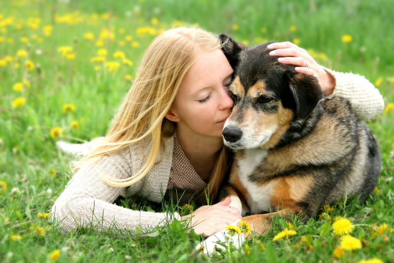 How Old Is My Dog Lovetoknow