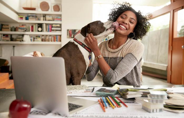 Daily Dog Care Basics