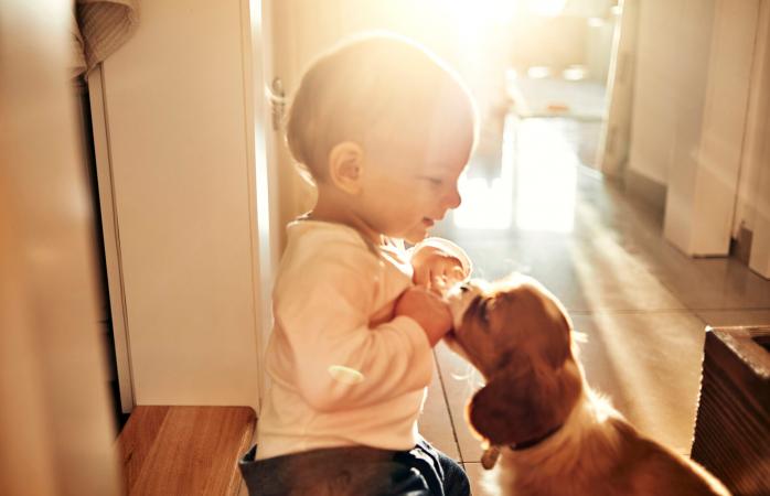 Baby and puppy playing