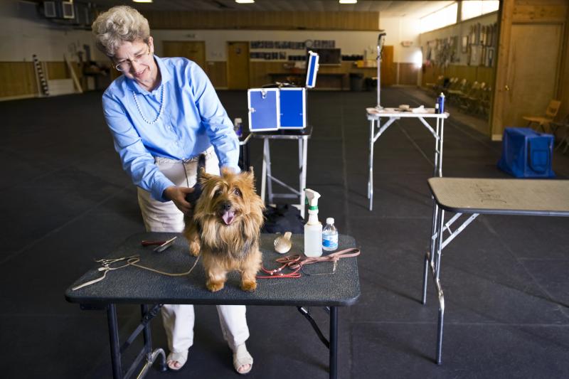 show dog grooming supplies