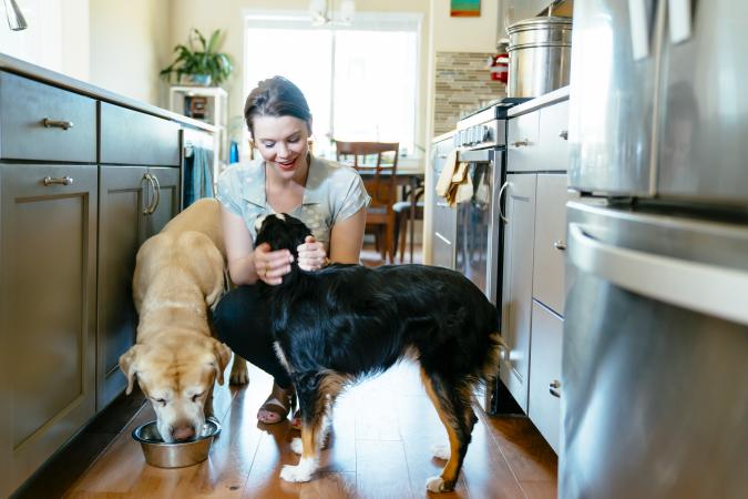 Woman feeding two dogs