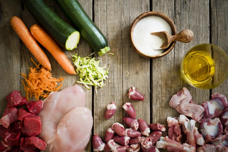 Best Homemade Raw Dog Food Recipes for Complete Health LoveToKnow