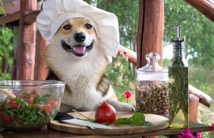 Italian Dog