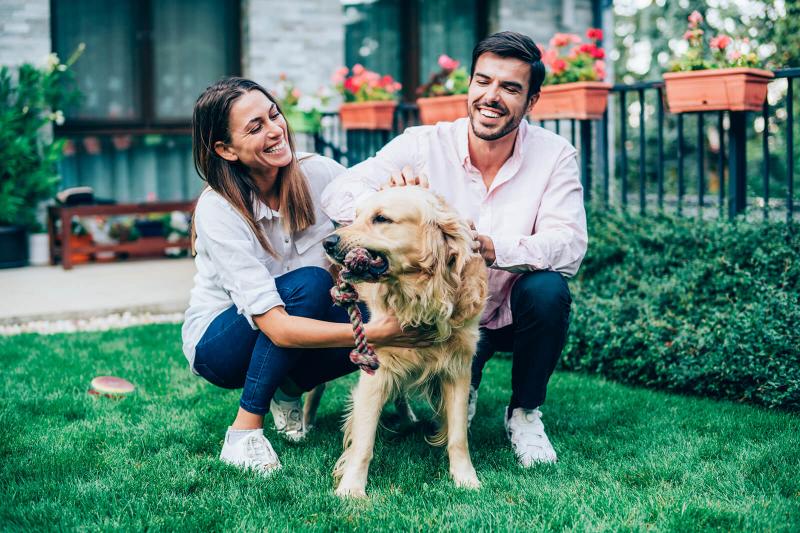 Expert Tips to Stop Dogs From Soiling the Patio | LoveToKnow