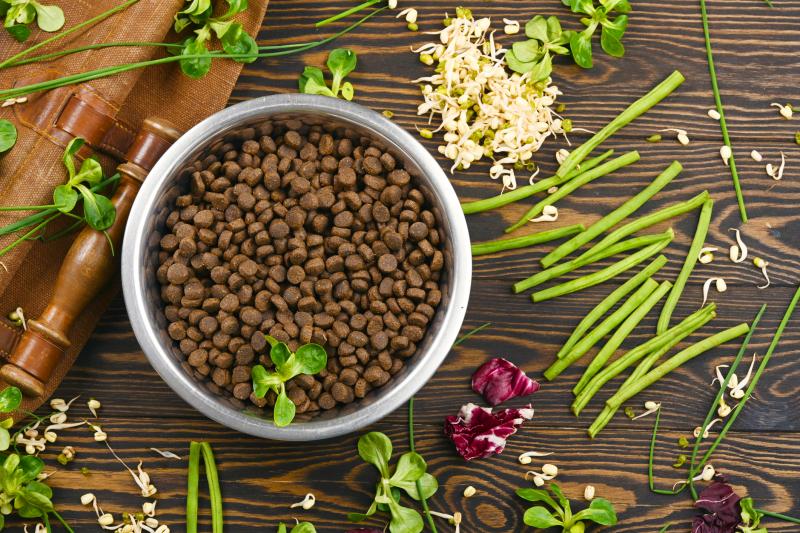 Can Dogs Have Green Beans? How to Safely Prepare Them LoveToKnow