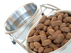 A dog's full food and water bowls