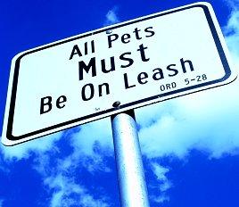 Leash1.jpg