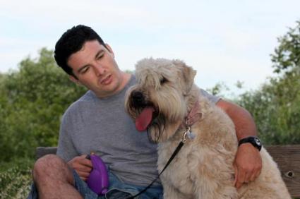 Dog Adoption