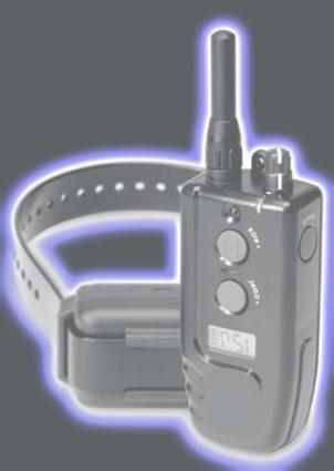 shock collar