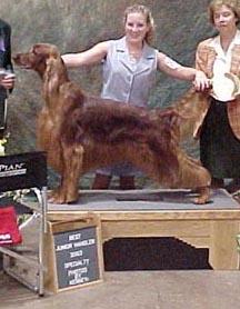 Lindsey Kuhn, Dog Show Handler with Irish Setter