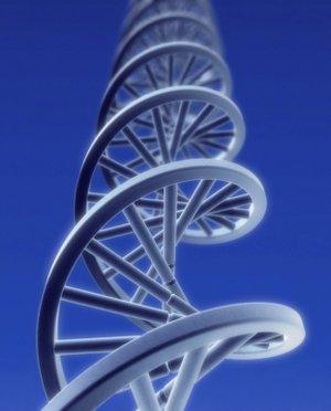 DNA strand