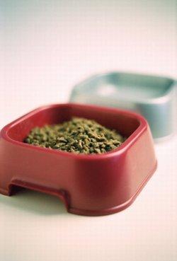 Dog bowls