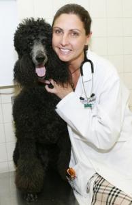 Dr. Deirdre Chiaramonte