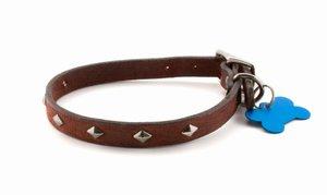 Collar and tag