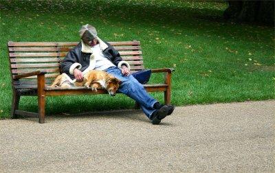 Park Bench Companionship