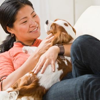 Happy dog and owner