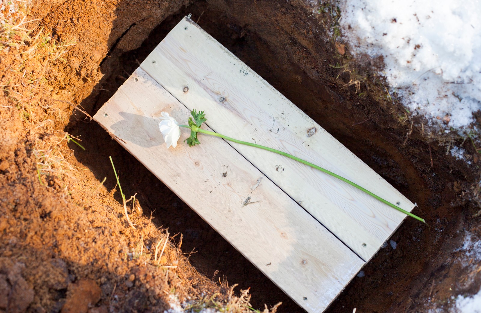 small pet casket