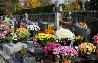 Flowers on cemetery 