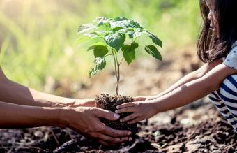 Mother And Daughter Planting On Field