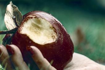 Bitten Apple On Hand