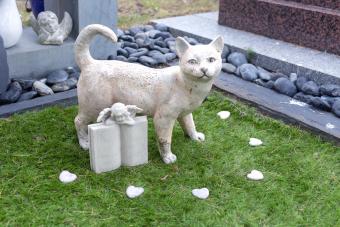 Grave of a cat