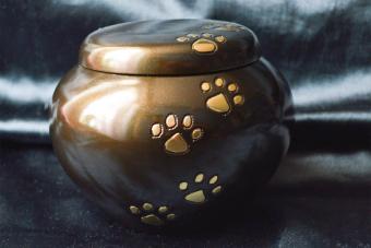 pet urn decorated with paw prints