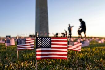 American flags on the National Mall in Washington, D.C.