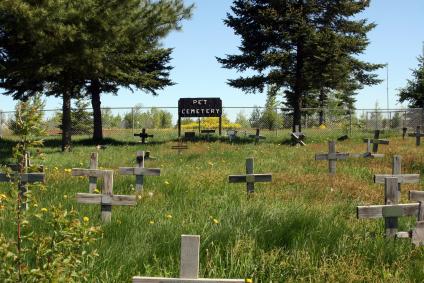 Pet cemetery