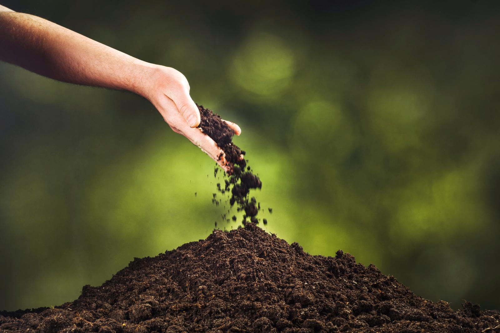 Hand pouring black soil