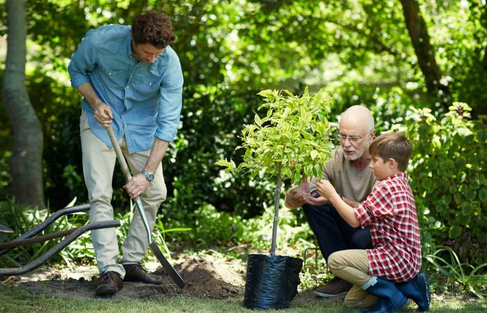 family planting a tree
