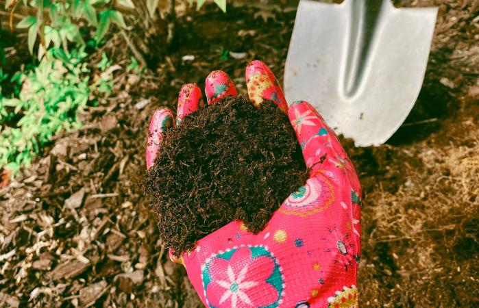 Digging Into Human Composting