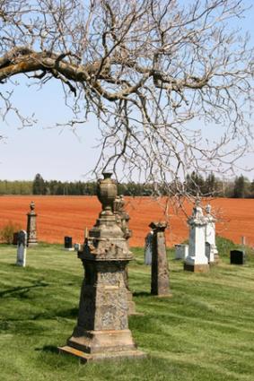 burial and cremation
