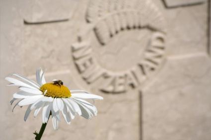 why we establish memorials