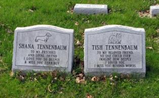 Telling children about the loss of a pet