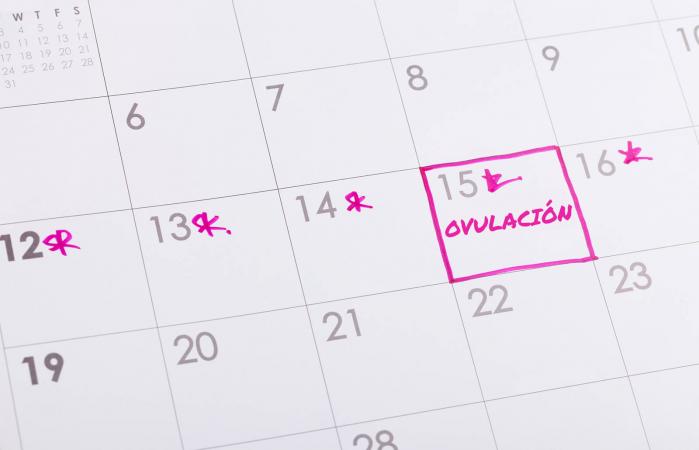 Predictores de ovulación