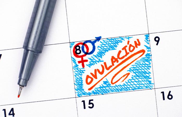 Calendario para predecir la ovulación