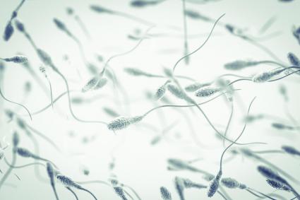 si tomo antibiotico puedo quedar embarazada si tomo antibiotico puedo quedar embarazada
