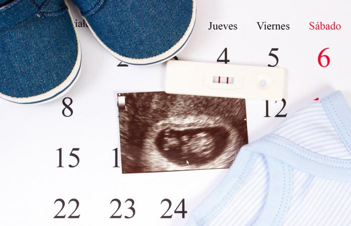 Fecha de concepción