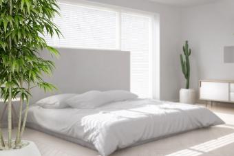 Modern white bed room with big window