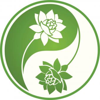 equilibrio del yin y el yang